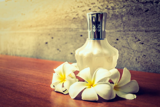 Long-Lasting Luxury Fragrance