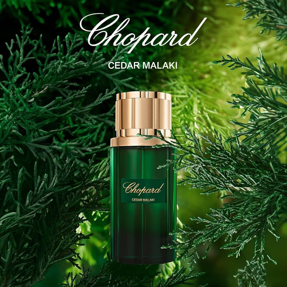 Cedar Malaki Chopard for women and men