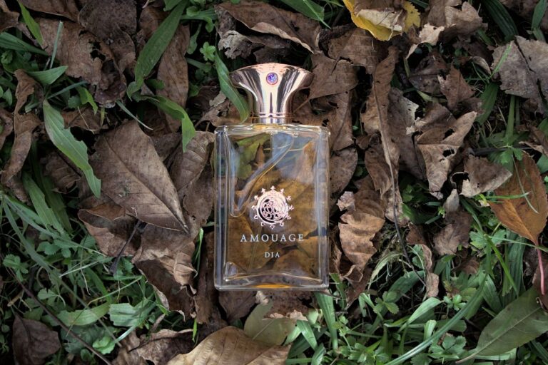 AMOUAGE DIA MAN  for men