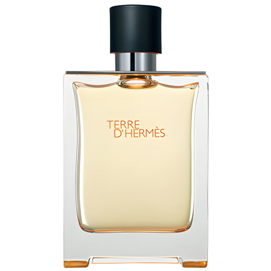 Hermès Terre d'Hermès 100ML
