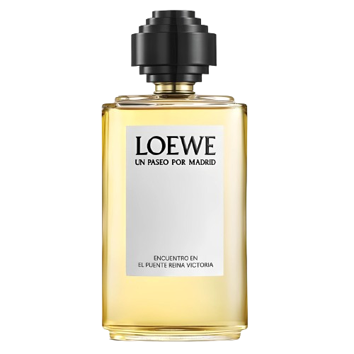 Loewe Encuentro en el puente Reina Victoria 100ML