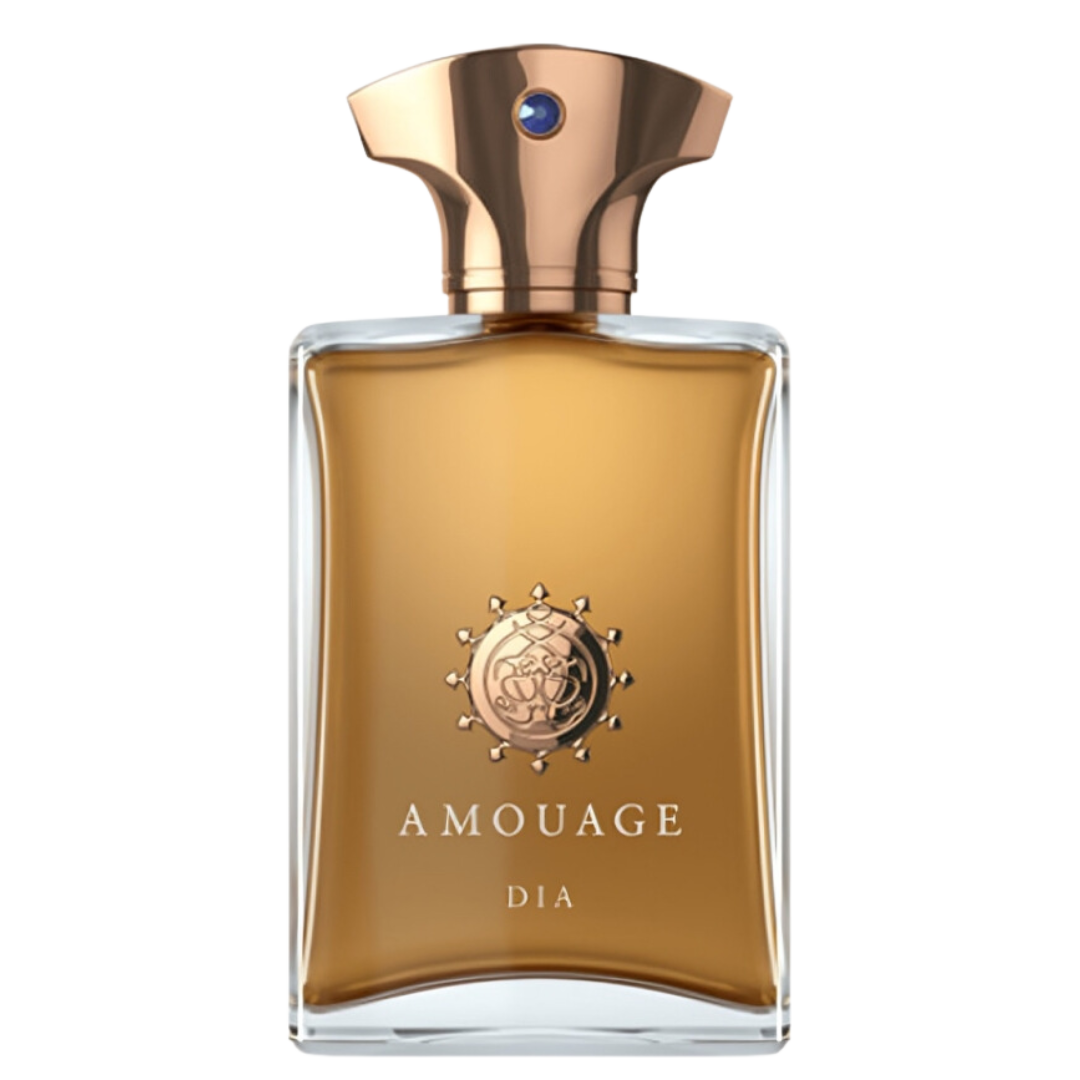 AMOUAGE DIA MAN  for men