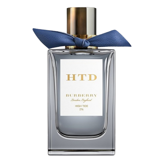 BURBERRY HIGH TIDE  for women and men