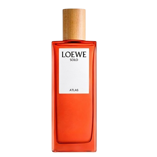 Loewe Solo Atlas for men TESTER