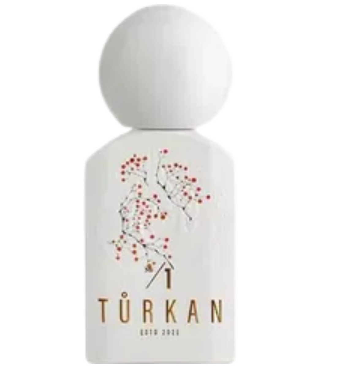 Türkan No/1 Épicé 150ML