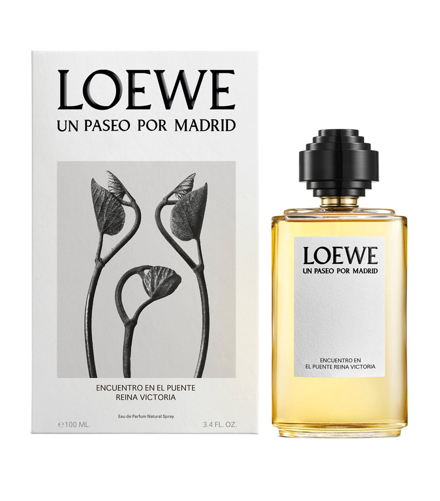 Loewe Encuentro en el puente Reina Victoria 100ML